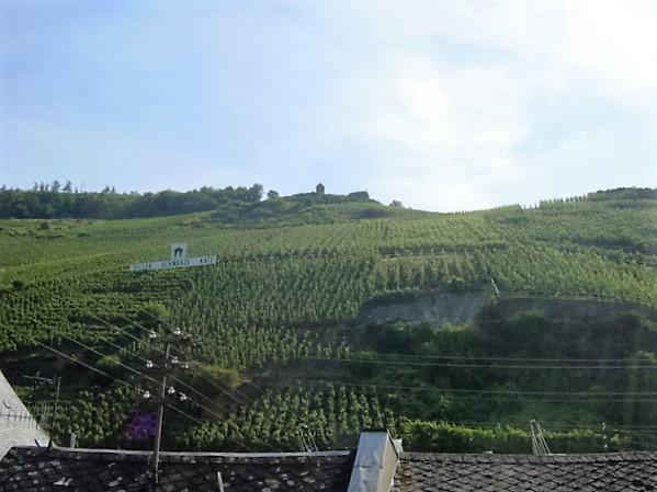 Villa Cella Zell an der Mosel Esterno foto